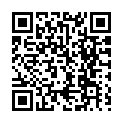 To view this 2004 BMW 3-Series Sarasota FL from Goldmark Auto Group, please scan this QR code with your smartphone or tablet to view the mobile version of this page.