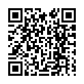 To view this 2006 Chrysler 300 Sarasota FL from Goldmark Auto Group, please scan this QR code with your smartphone or tablet to view the mobile version of this page.