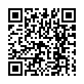 To view this 2004 Honda Pilot Sarasota FL from Goldmark Auto Group, please scan this QR code with your smartphone or tablet to view the mobile version of this page.