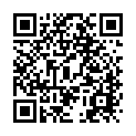 To view this 2013 Toyota Prius V Sarasota FL from Goldmark Auto Group, please scan this QR code with your smartphone or tablet to view the mobile version of this page.
