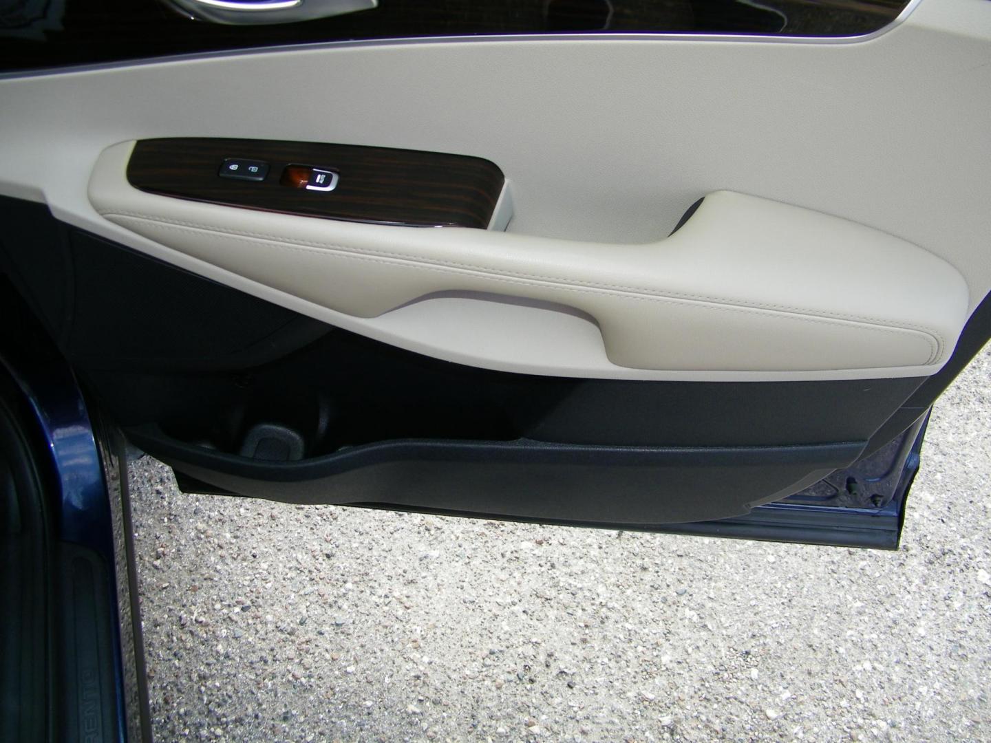 2019 Blue /Beige Kia Sorento LX V6 2WD (5XYPG4A55KG) with an 3.3L V6 DOHC 24V engine, 6A transmission, located at 4000 Bee Ridge Road, Sarasota, FL, 34233, (941) 926-0300, 27.298664, -82.489151 - Photo#14