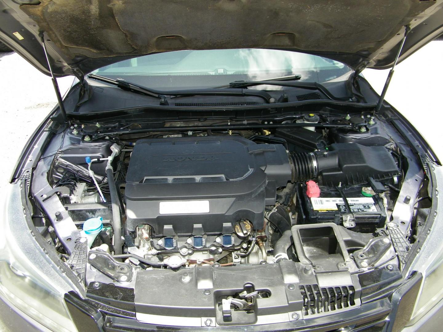 2013 Gray /Gray Honda Accord EX-L V6 Sedan AT (1HGCR3F89DA) with an 3.5L V6 SOHC 24V engine, 6-Speed Automatic transmission, located at 4000 Bee Ridge Road, Sarasota, FL, 34233, (941) 926-0300, 27.298664, -82.489151 - Photo#10