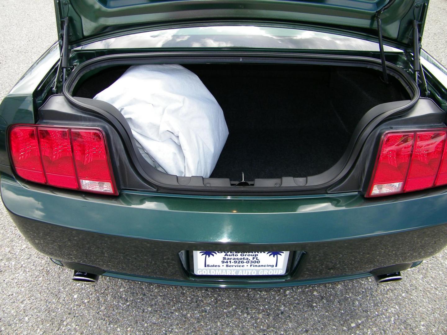 2008 Green /Black Ford Mustang GT Bullitt (1ZVHT82H985) with an 4.6L V8 SOHC 24V engine, Manual transmission, located at 4000 Bee Ridge Road, Sarasota, FL, 34233, (941) 926-0300, 27.298664, -82.489151 - Photo#8