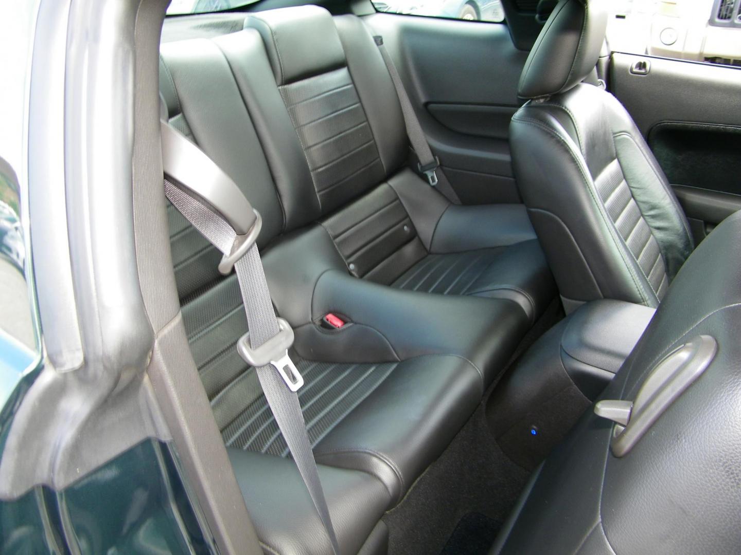 2008 Green /Black Ford Mustang GT Bullitt (1ZVHT82H985) with an 4.6L V8 SOHC 24V engine, Manual transmission, located at 4000 Bee Ridge Road, Sarasota, FL, 34233, (941) 926-0300, 27.298664, -82.489151 - Photo#9