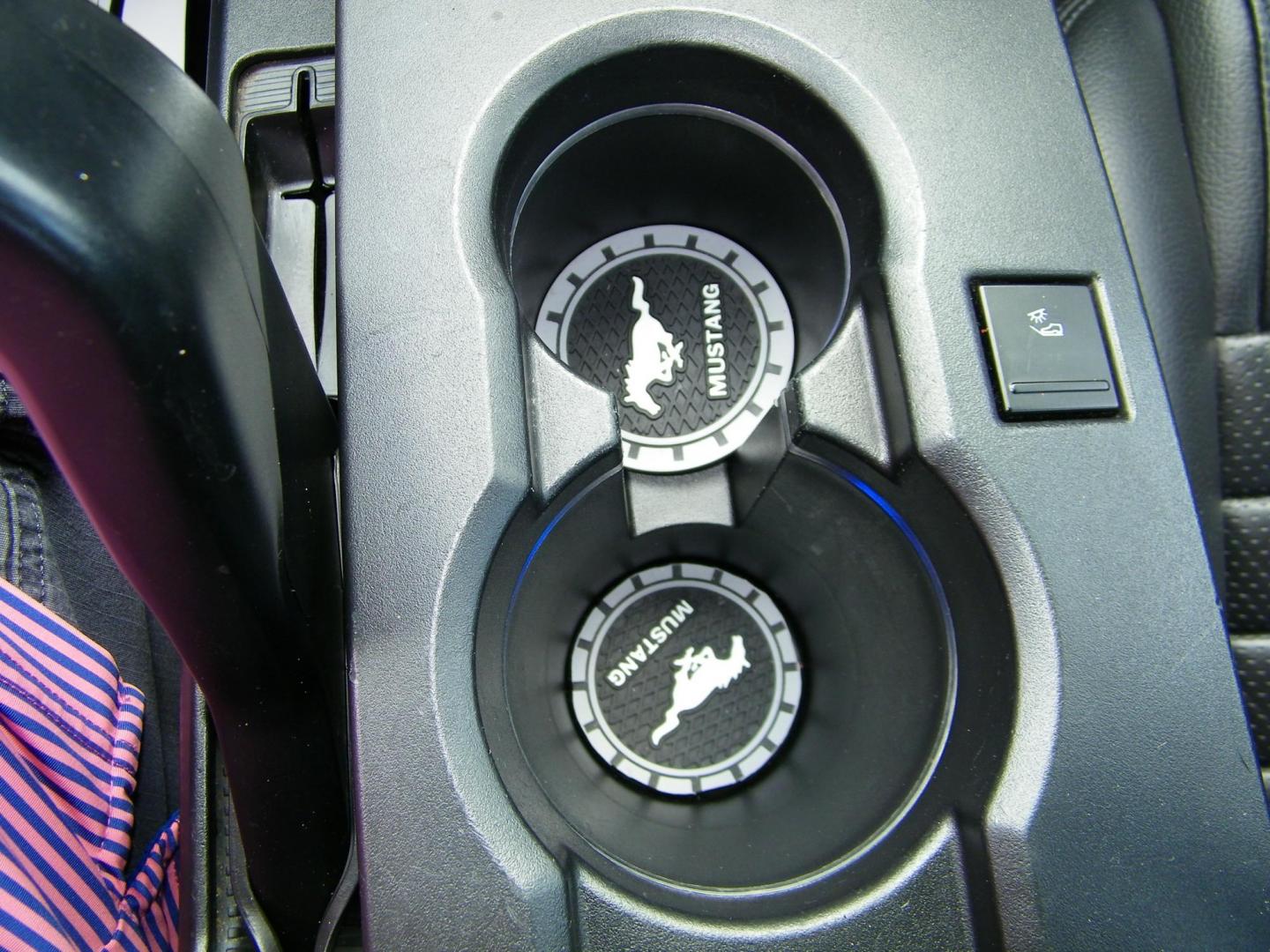 2008 Green /Black Ford Mustang GT Bullitt (1ZVHT82H985) with an 4.6L V8 SOHC 24V engine, Manual transmission, located at 4000 Bee Ridge Road, Sarasota, FL, 34233, (941) 926-0300, 27.298664, -82.489151 - Photo#16