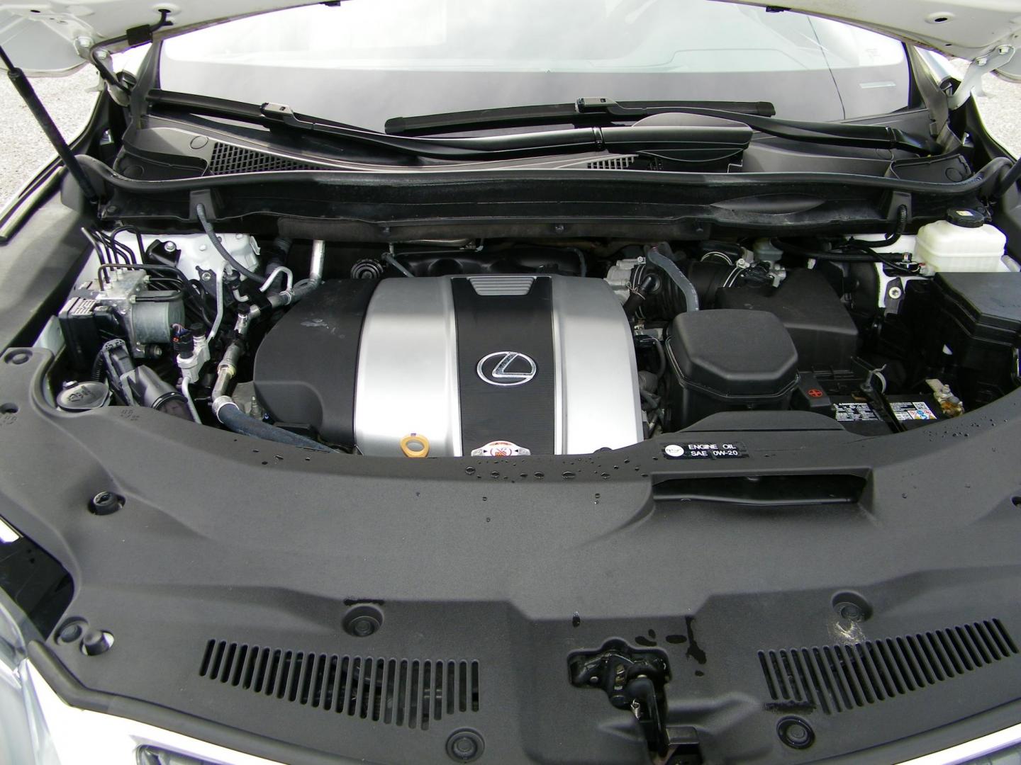 2021 White /Tan Lexus RX 350 FWD (2T2HZMAA8MC) with an 3.5L V6 DOHC 24V engine, 6A transmission, located at 4000 Bee Ridge Road, Sarasota, FL, 34233, (941) 926-0300, 27.298664, -82.489151 - Photo#10