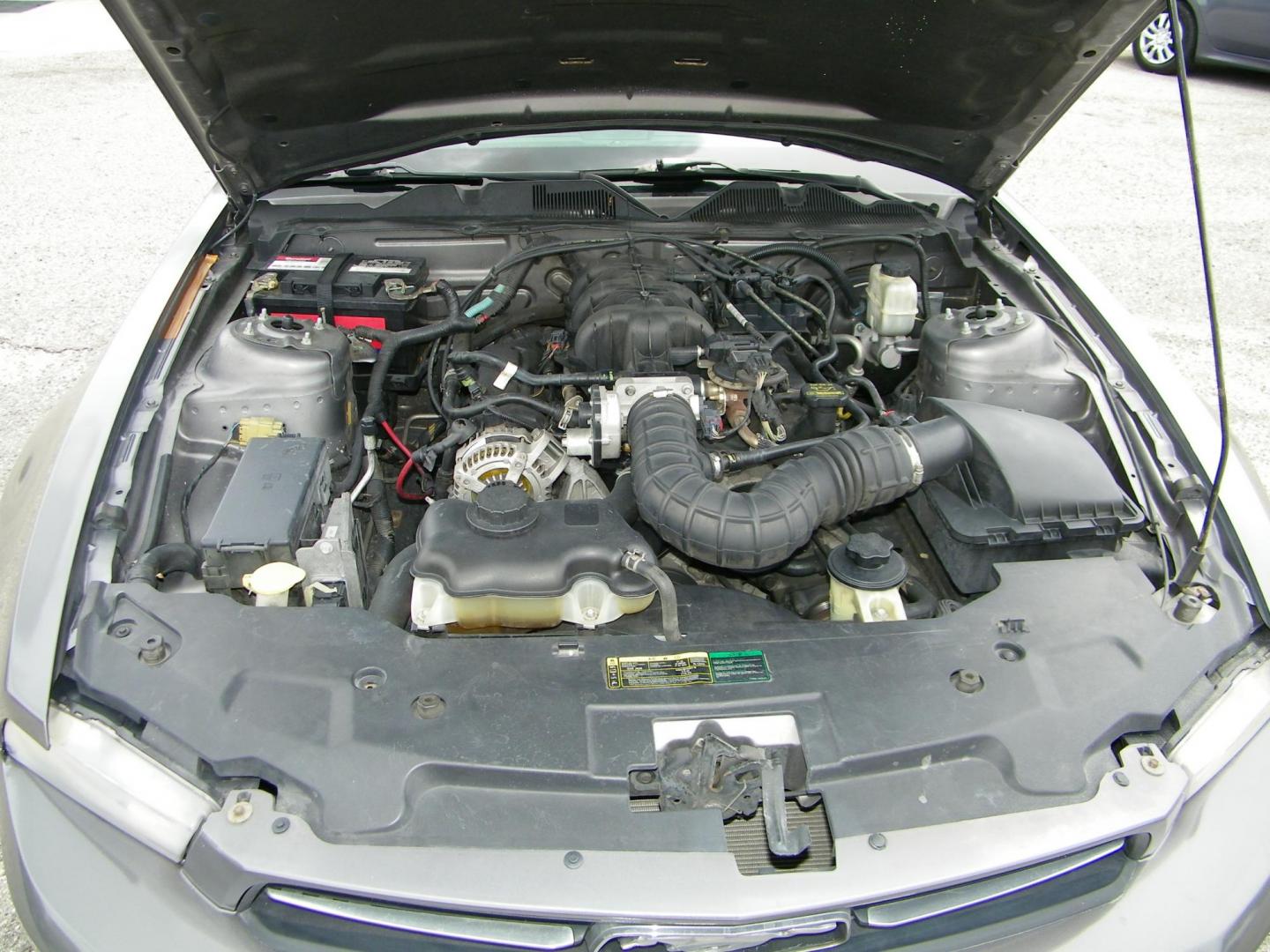 2010 Grey /Black Ford Mustang V6 Coupe (1ZVBP8AN9A5) with an 4.0L V6 OHC 12V engine, Automatic transmission, located at 4000 Bee Ridge Road, Sarasota, FL, 34233, (941) 926-0300, 27.298664, -82.489151 - Photo#9