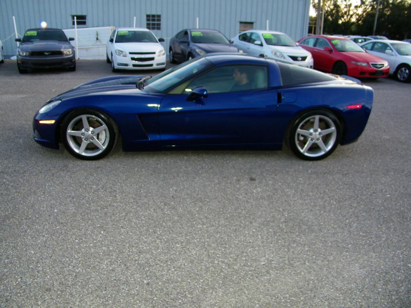 2005 Blue /Beige Chevrolet Corvette Coupe (1G1YY24U955) with an 6.0L V8 OHV 16V engine, Automatic transmission, located at 4000 Bee Ridge Road, Sarasota, FL, 34233, (941) 926-0300, 27.298664, -82.489151 - Photo#2