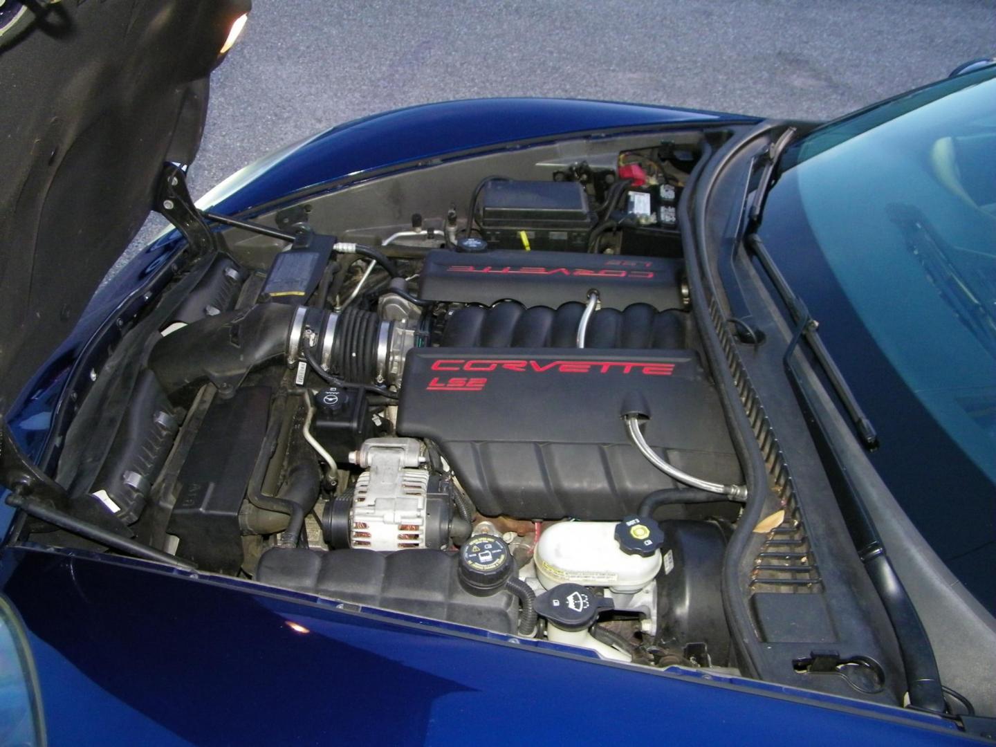 2005 Blue /Beige Chevrolet Corvette Coupe (1G1YY24U955) with an 6.0L V8 OHV 16V engine, Automatic transmission, located at 4000 Bee Ridge Road, Sarasota, FL, 34233, (941) 926-0300, 27.298664, -82.489151 - Photo#23