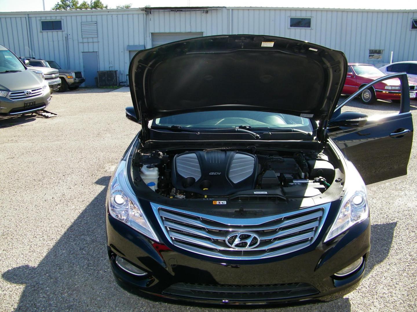 2014 Black /Black Hyundai Azera Limited (KMHFH4JG7EA) with an 3.3L V6 DOHC 24V engine, 6-Speed Automatic transmission, located at 4000 Bee Ridge Road, Sarasota, FL, 34233, (941) 926-0300, 27.298664, -82.489151 - Photo#8