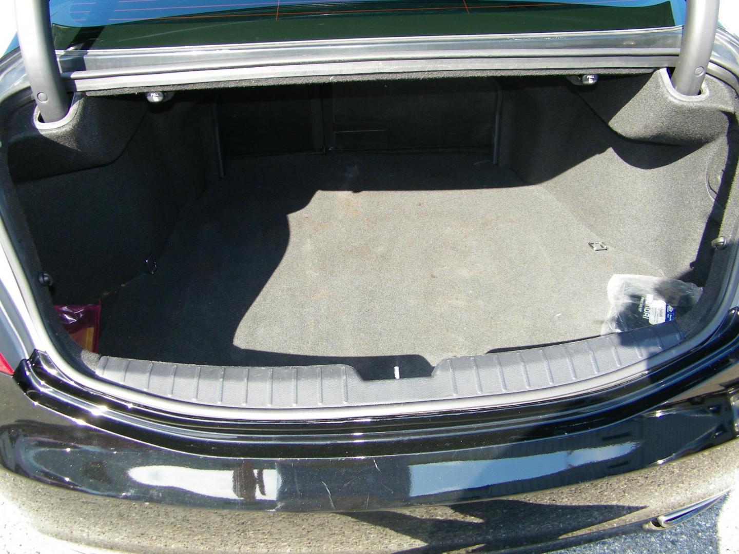 2014 Black /Black Hyundai Azera Limited (KMHFH4JG7EA) with an 3.3L V6 DOHC 24V engine, 6-Speed Automatic transmission, located at 4000 Bee Ridge Road, Sarasota, FL, 34233, (941) 926-0300, 27.298664, -82.489151 - Photo#11