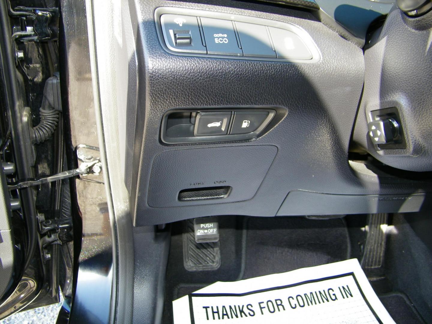 2014 Black /Black Hyundai Azera Limited (KMHFH4JG7EA) with an 3.3L V6 DOHC 24V engine, 6-Speed Automatic transmission, located at 4000 Bee Ridge Road, Sarasota, FL, 34233, (941) 926-0300, 27.298664, -82.489151 - Photo#17