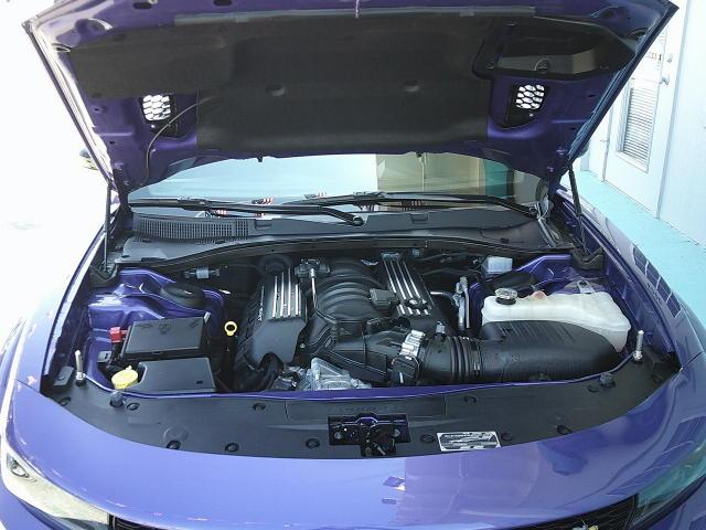 2023 Purple /Black Dodge Charger Scat Pack (2C3CDXGJ5PH) with an 6.4L V8 OHV 16V engine, Automatic transmission, located at 4000 Bee Ridge Road, Sarasota, FL, 34233, (941) 926-0300, 27.298664, -82.489151 - Photo#14