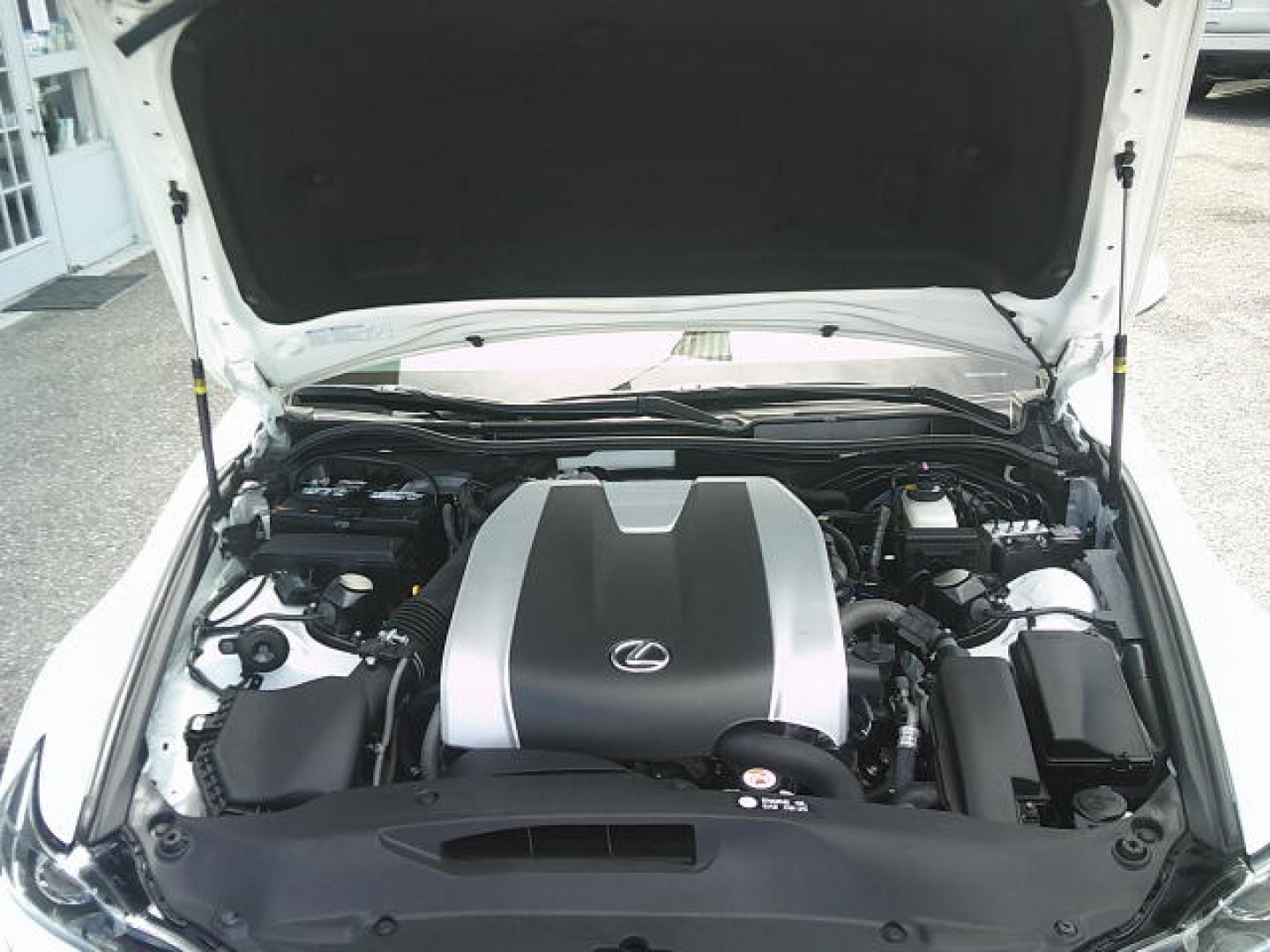 2020 WHITE /Red Lexus IS 350 F SPORT F SPORT 350 RWD (JTHGZ1B21L5) with an 3.5L V6 24V DOHC engine, 8A transmission, located at 4000 Bee Ridge Road, Sarasota, FL, 34233, (941) 926-0300, 27.298664, -82.489151 - Photo#18