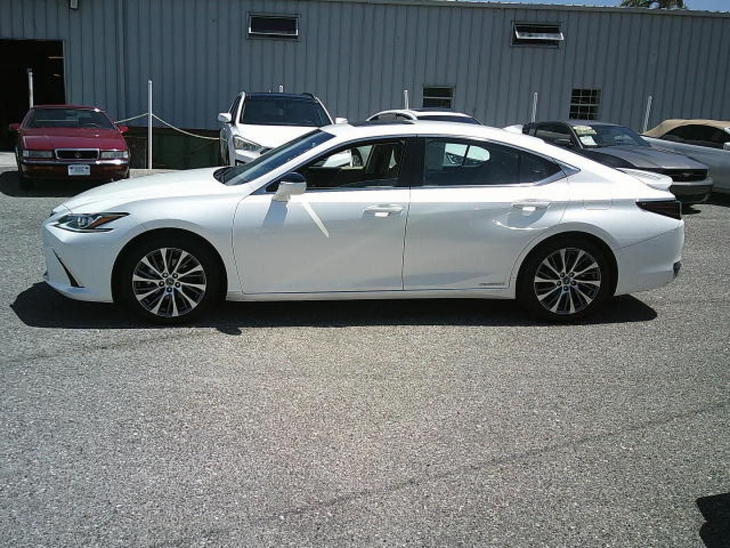 2021 WHITE /Beige Lexus ES 300h Base (58ADA1C19MU) with an 2.5L L4 DOHC 16V HYBRID engine, CVT transmission, located at 4000 Bee Ridge Road, Sarasota, FL, 34233, (941) 926-0300, 27.298664, -82.489151- Photo#2
