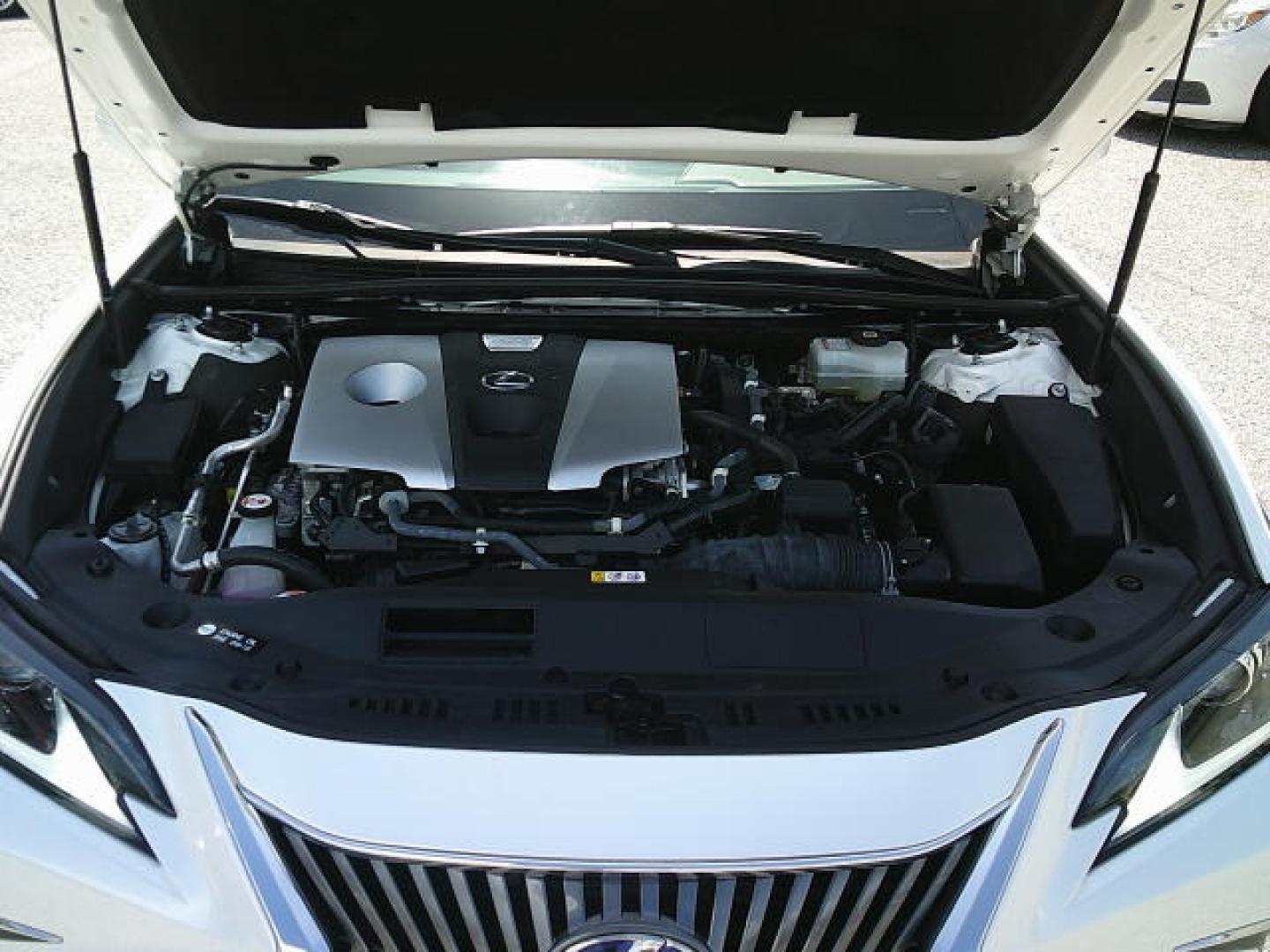 2021 WHITE /Beige Lexus ES 300h Base (58ADA1C19MU) with an 2.5L L4 DOHC 16V HYBRID engine, CVT transmission, located at 4000 Bee Ridge Road, Sarasota, FL, 34233, (941) 926-0300, 27.298664, -82.489151- Photo#9