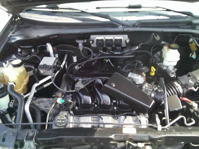 2005 Green /Black Ford Escape XLT 2WD (1FMYU03115K) with an 3.0L V6 DOHC 24V engine, 4A OD transmission, located at 4000 Bee Ridge Road, Sarasota, FL, 34233, (941) 926-0300, 27.298664, -82.489151- Photo#8