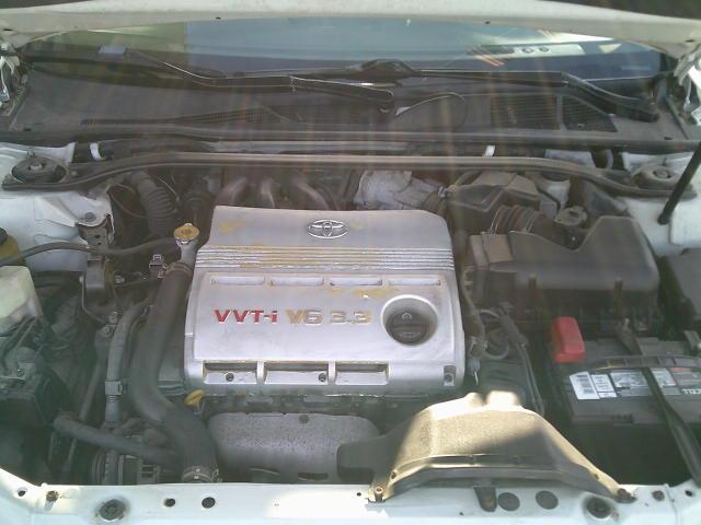 2008 White /Beige Toyota Camry Solara SE Convertible (4T1FA38P88U) with an 3.3L V6 DOHC 24V engine, 5A OD transmission, located at 4000 Bee Ridge Road, Sarasota, FL, 34233, (941) 926-0300, 27.298664, -82.489151- Photo#16