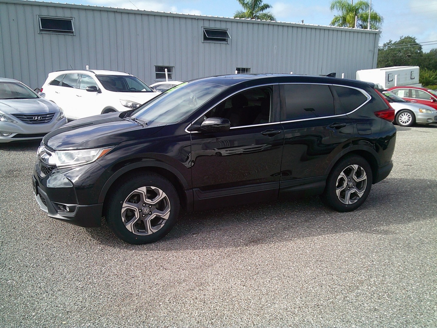 2019 Black /Black Honda CR-V EX AWD (7FARW2H51KE) with an 1.5L L4 16V DOHC TURBO engine, CVT transmission, located at 4000 Bee Ridge Road, Sarasota, FL, 34233, (941) 926-0300, 27.298664, -82.489151- Photo#1