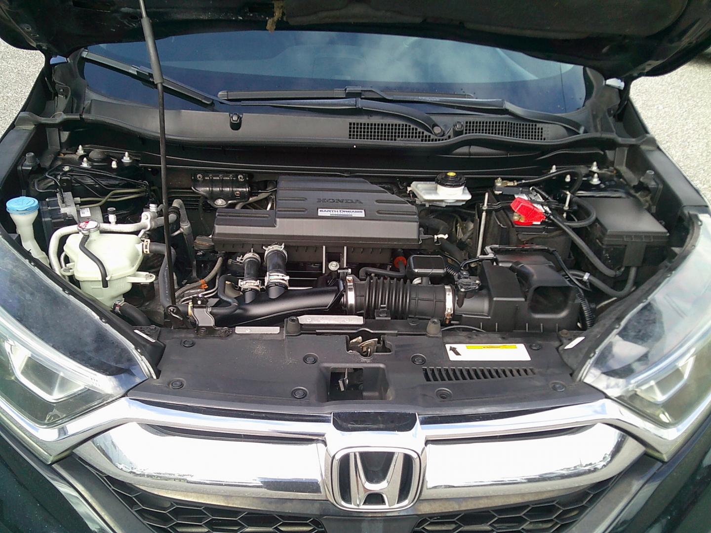 2019 Black /Black Honda CR-V EX AWD (7FARW2H51KE) with an 1.5L L4 16V DOHC TURBO engine, CVT transmission, located at 4000 Bee Ridge Road, Sarasota, FL, 34233, (941) 926-0300, 27.298664, -82.489151- Photo#10