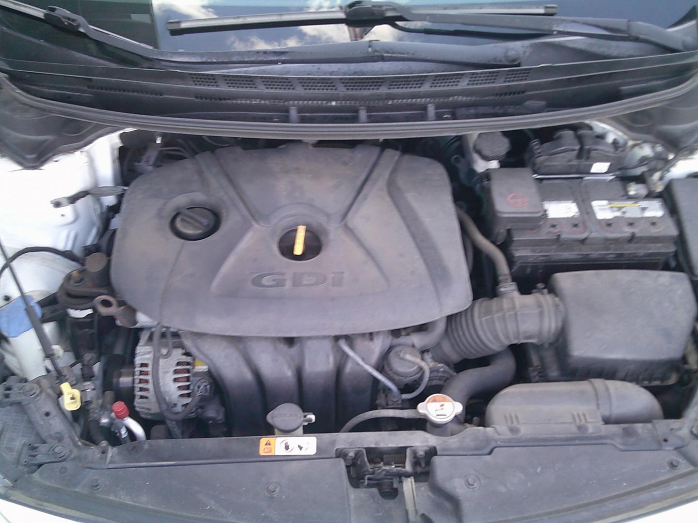 2014 White /Gray Kia Forte EX (KNAFX4A88E5) with an 2.0L L4 DOHC 16V engine, 6A transmission, located at 4000 Bee Ridge Road, Sarasota, FL, 34233, (941) 926-0300, 27.298664, -82.489151- Photo#13